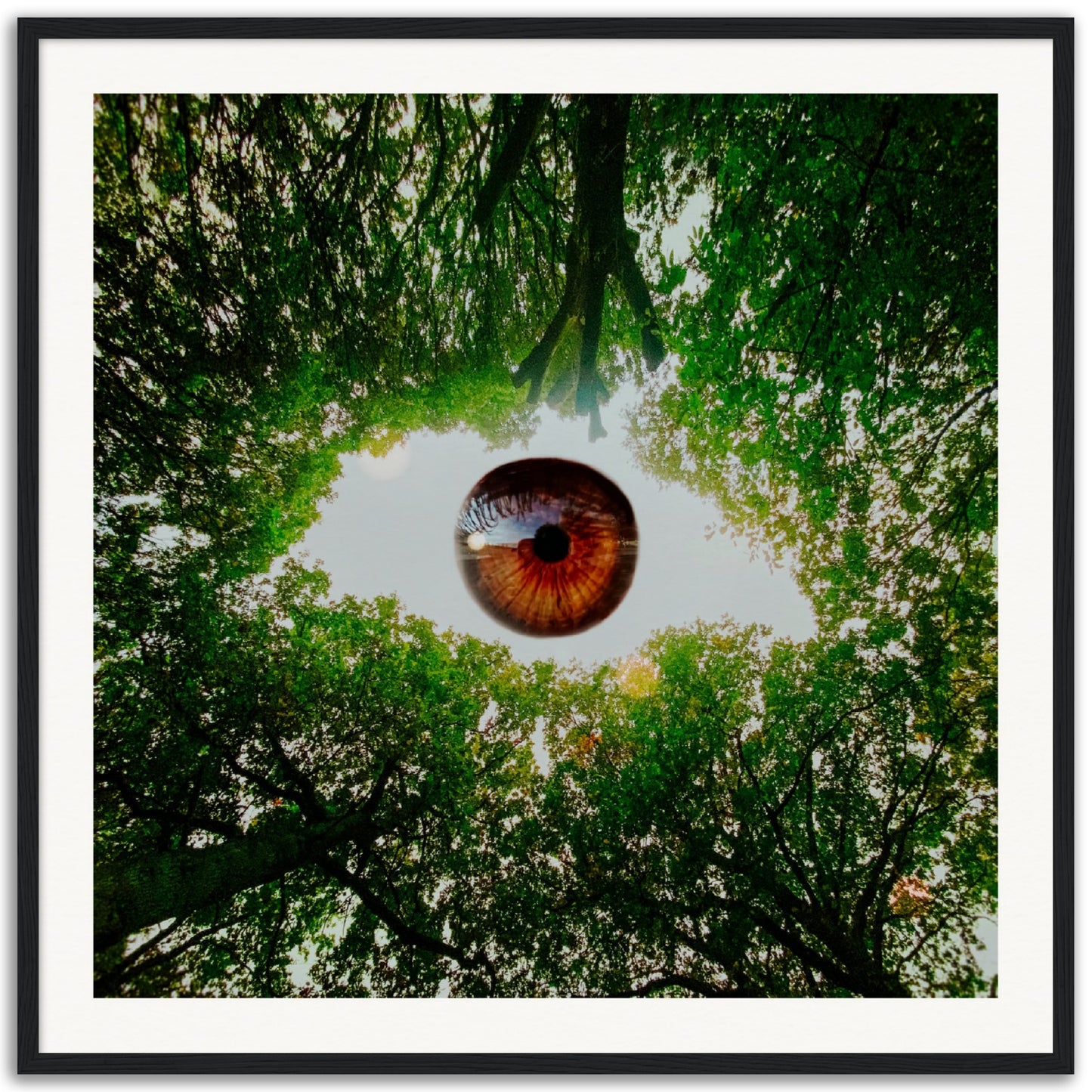 Eye-Opening - Museum-Quality Framed Art Print