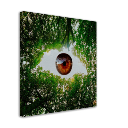 Eye-Opening - Canvas Print