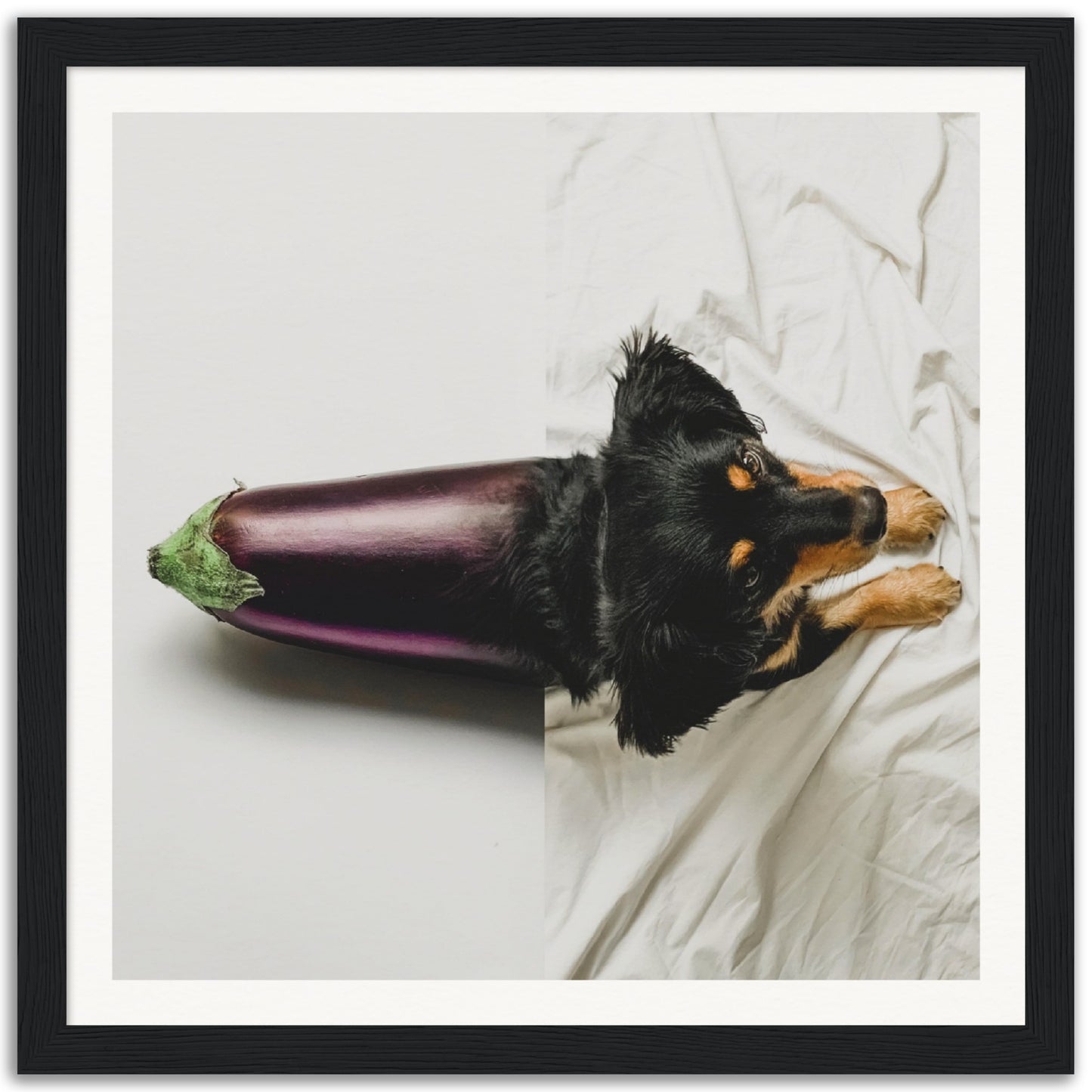 Dogplant - Museum-Quality Framed Art Print