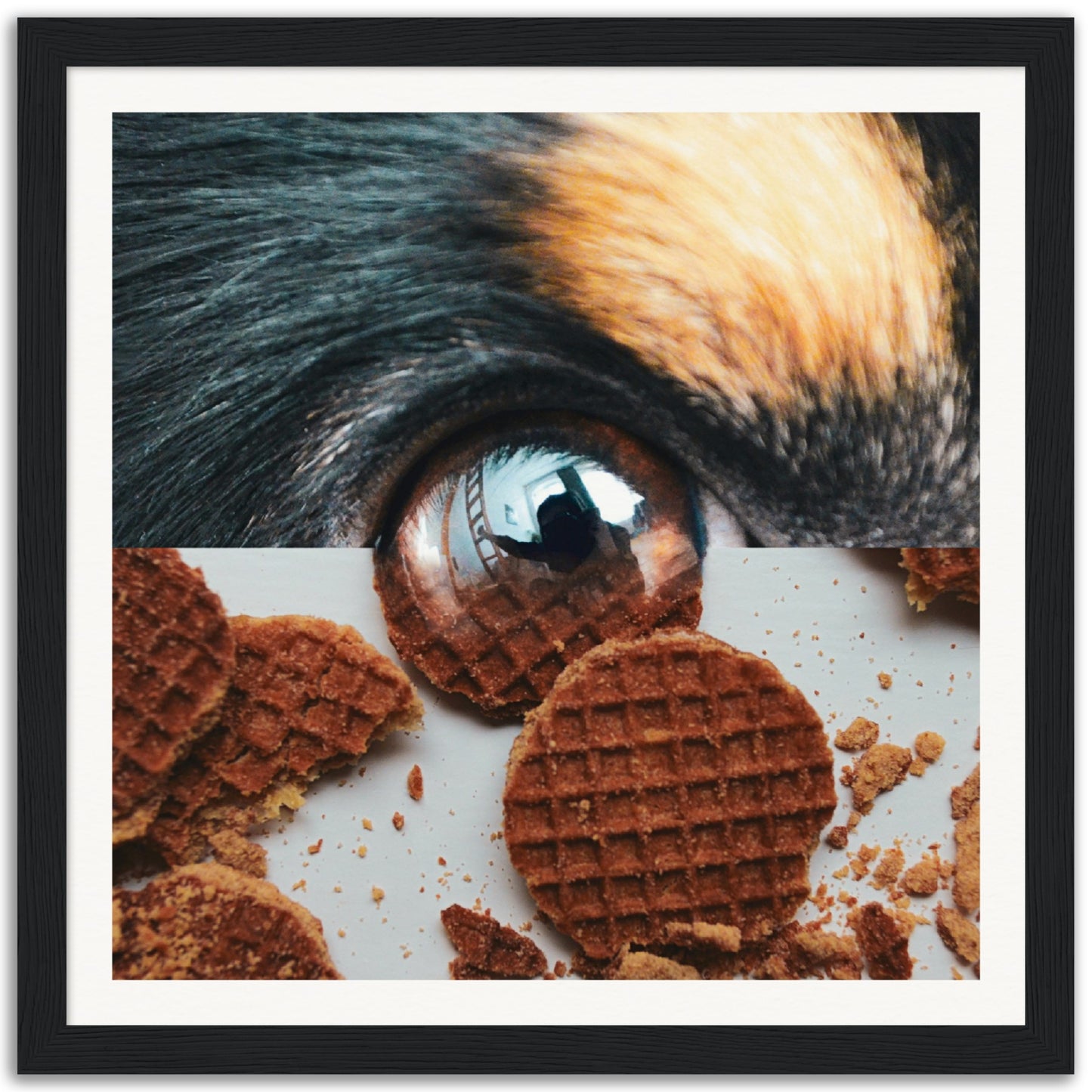 One Treat A Day, Keeps The Doctor Away - Museum-Quality Framed Art Print