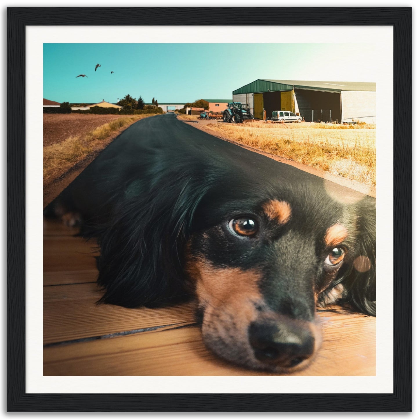Street Dog - Museum-Quality Framed Art Print