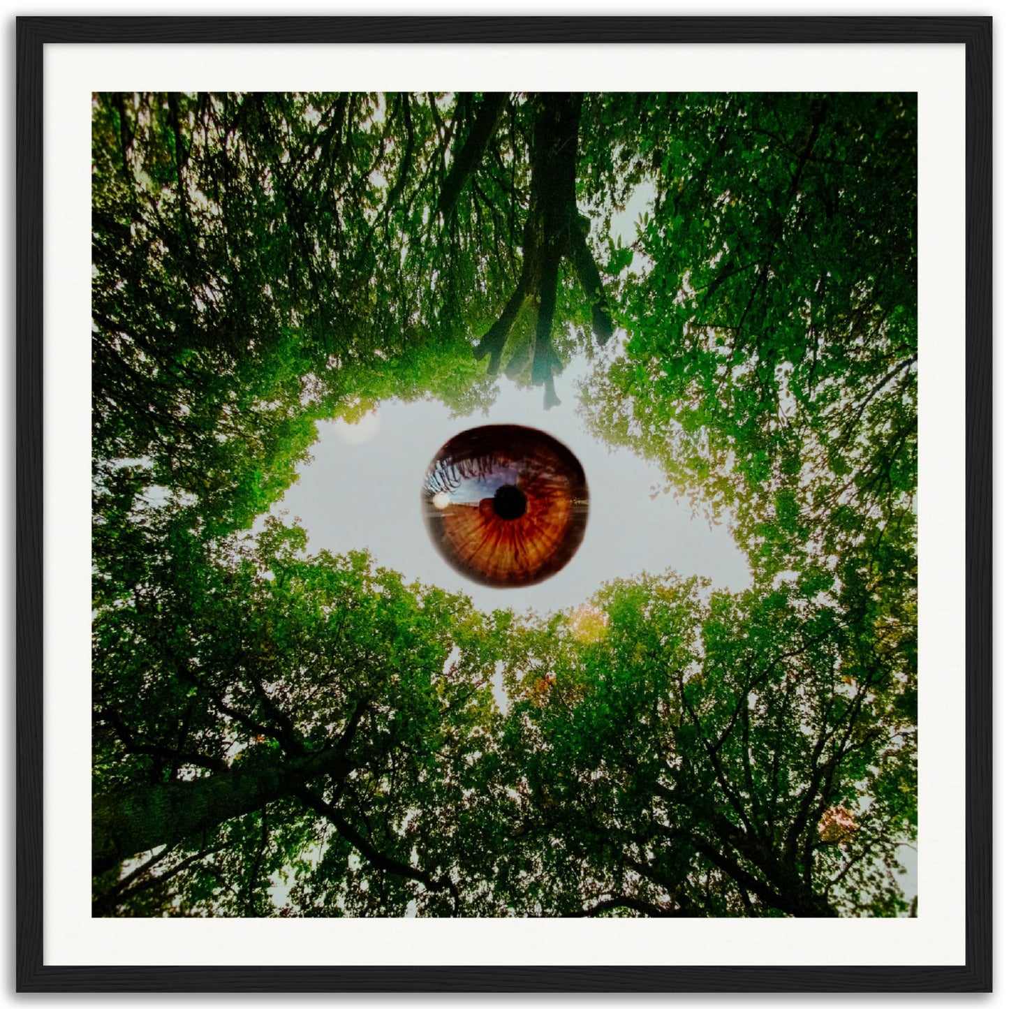 Eye-Opening - Museum-Quality Framed Art Print