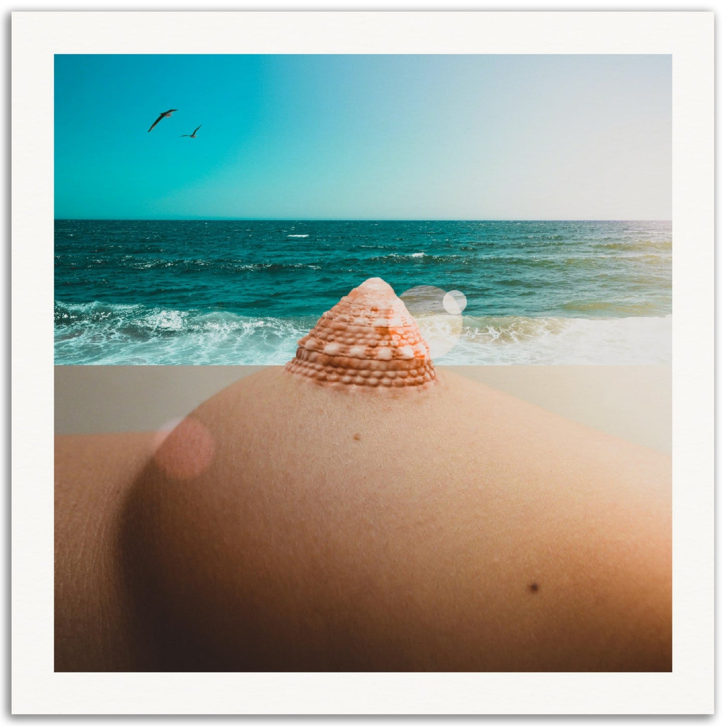Artifishell Nipple - Museum-Quality Art Print
