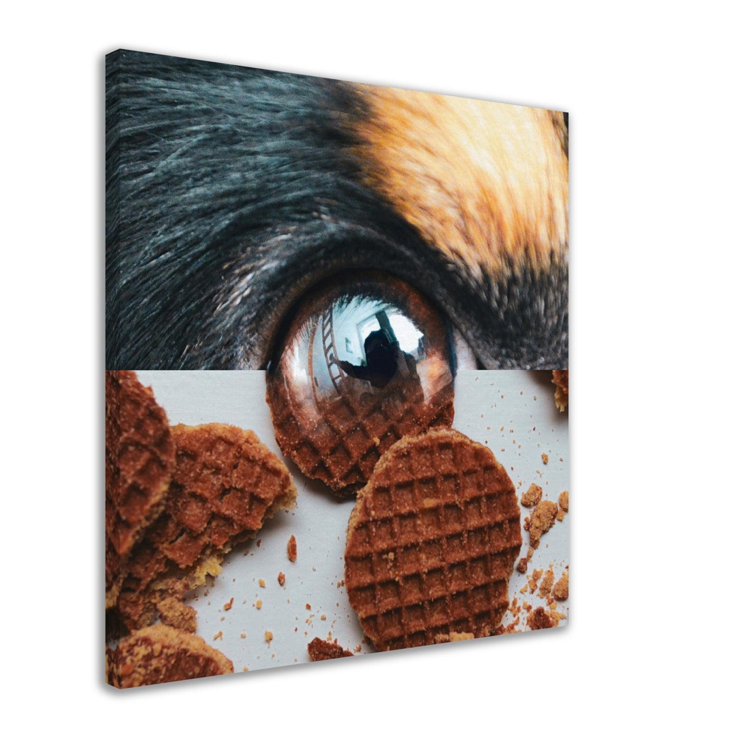 One Treat A Day, Keeps The Doctor Away - Canvas Print