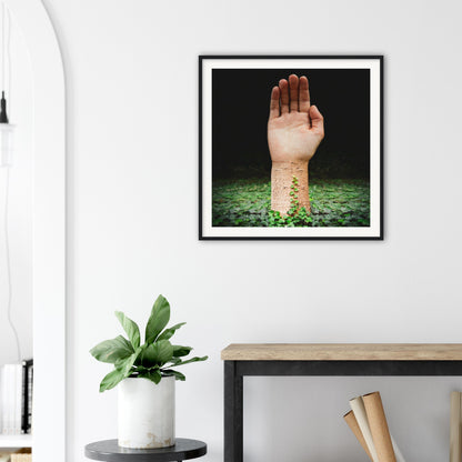 Palm Tree - Museum-Quality Framed Art Print