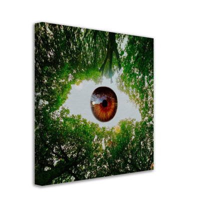 Eye-Opening - Canvas Print