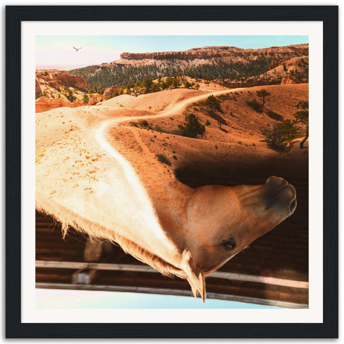 Horse With No Name - Museum-Quality Framed Art Print