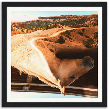 Horse With No Name - Museum-Quality Framed Art Print